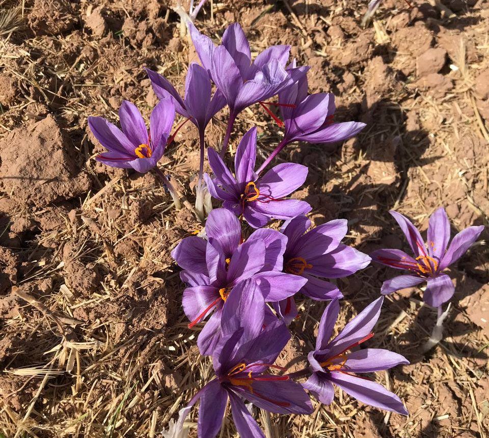 photo_2025-10-18_23-30-22